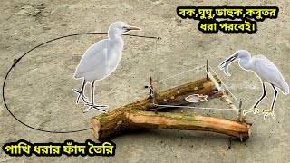 Bird Trap Making Tutorial Bangla.