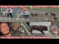 New Monster Dog Ki Entry Hui Kennel Mai🐶Simba🔥Sandy Attaker Ban Gye😨Dogs Vs Jungle Rabbit 🐇