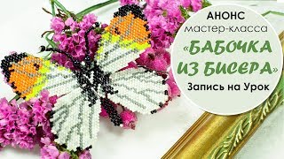 Бабочка из бисера. Анонс мастер-класса Бабочка из бисера. Анонс мастер-класса