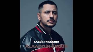 Alaaddin Ergün - Kalbim Kıskanır (Full) Resimi