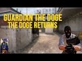 The Doge Returns