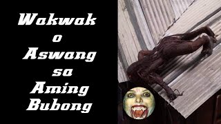 Wakwak o Aswang sa Bubong #aswang #wakwak