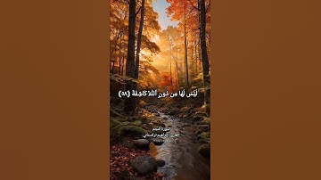 آيات من سورة النجم ٢/٢ #اكسبلور #تلاوة #قرآن #إبراهيم_تركستاني #راحة_نفسية #تلاوة_خاشعة #صوت_شجي
