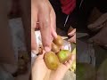 kiwi fruit - solukhumbu🇳🇵