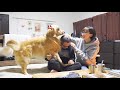旦那だけいい子いい子したら愛犬がキレました