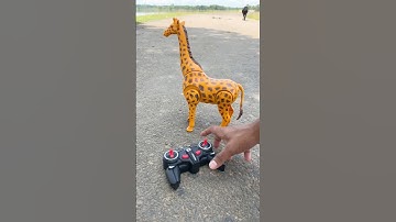 Giraffe Remote control Unboxing video 🔥🦒#shortsfeed #toys #giraffe