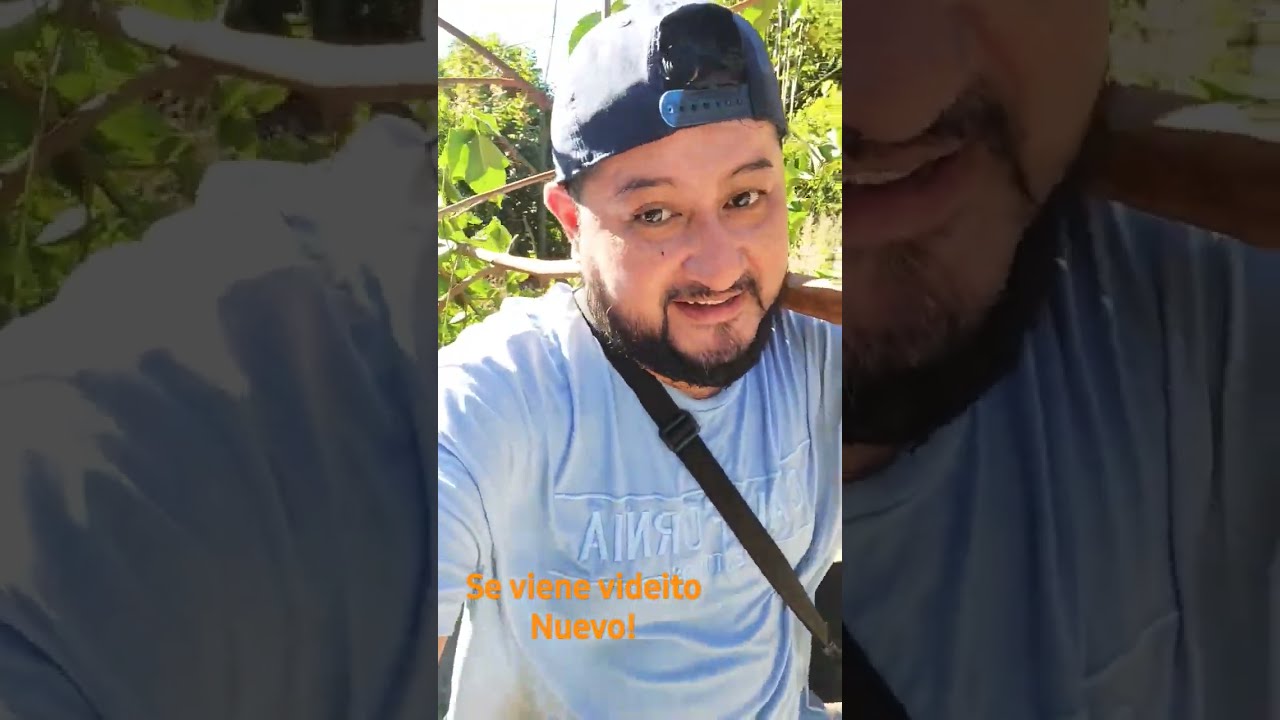 Se Viene Videito Nuevo Videoviralyoutube Suscribeteahora Shortsvideo