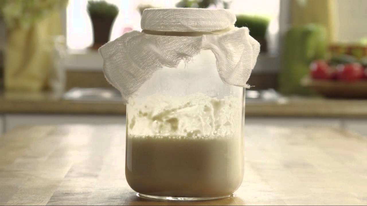 How to Make Sourdough Starter Bread Recipe YouTube