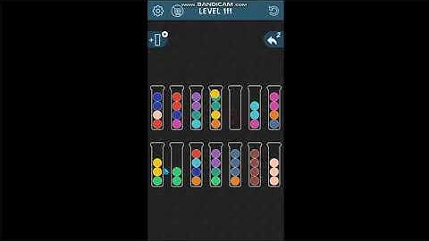 Sorter It Puzzle level 111