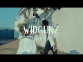 Widguns 