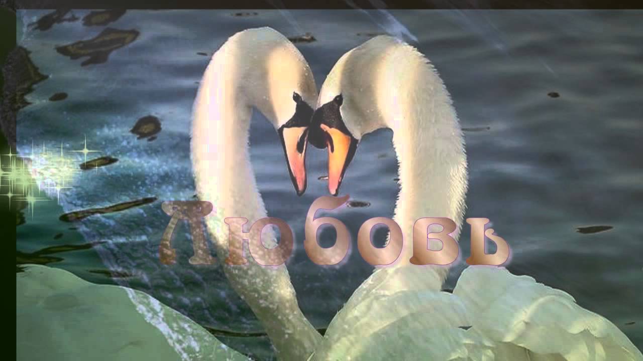 Лебединая верность.Гендель,Оратория "Мессия" - YouTube