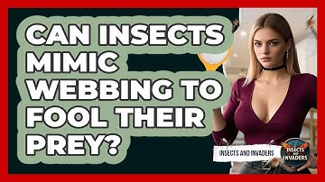 Can Insects Mimic Webbing To Fool Their Prey? - Insects and Invaders