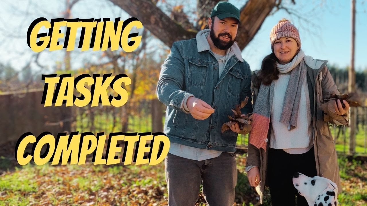 Off the Grid Cabin Renovation for beginners. Going Off Grid in Kentucky ...