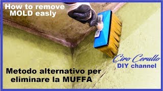 ELIMINARE la MUFFA spendendo pochissimo . METODO ALTERNATIVO - Remove MOLD with little expense