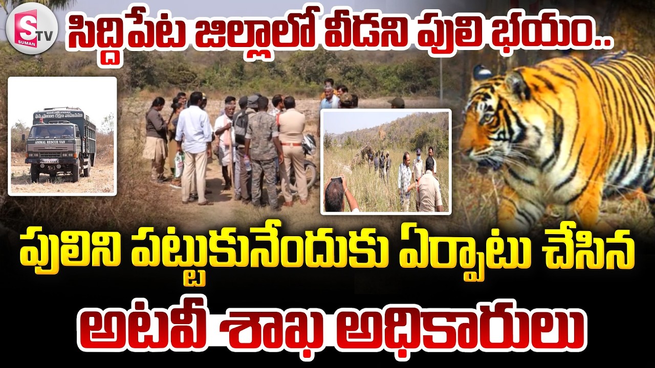 Tiger Hulchal In Siddipet Dist :సిద్దిపేట జిల్లాలో వీడని పులి భయం.. | Telangana |