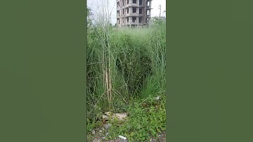 Block-L-3 Katha South facing     k Block Er Sate,Sell In Bashundhara R/A 01312744058