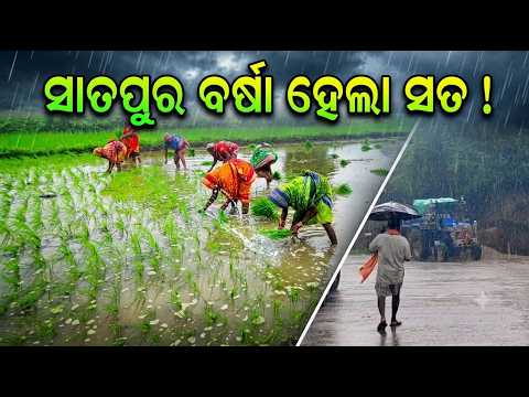 ସତ ହେଲା ସାତପୁର ପ୍ରବାଦ! ସପ୍ତପୁରୀ ଅମାବାସ୍ୟାରେ ବର୍ଷା
