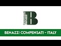 MVM srl e Benazzi compensati Italy - MVM Grinders for straight blades KS250