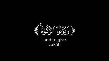 كروما شاشة سوداء قرآن كريم 🌸 سورة البينة 🌸 تلاوة ماهر المعيقلي