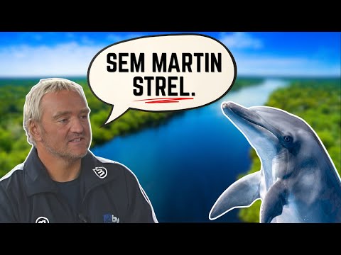 Igrajte v Red Baron casino online: Slovenian Players Welcome!