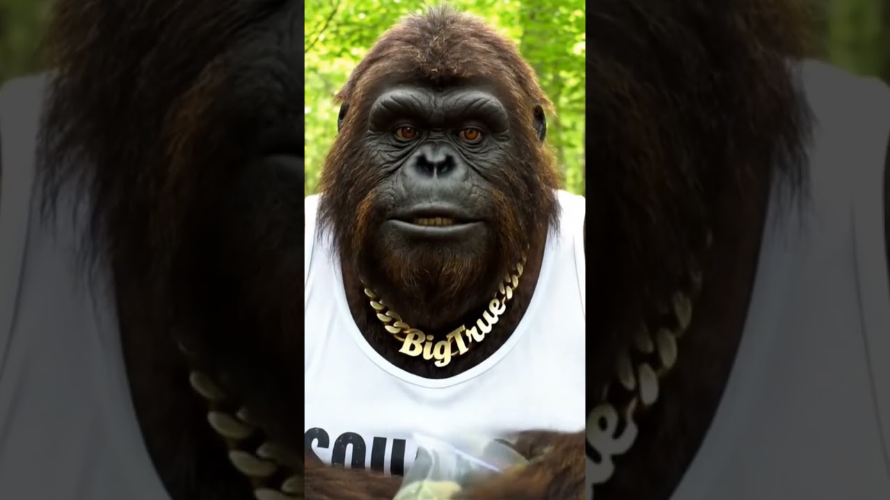 Bigfoot trying a new strain 