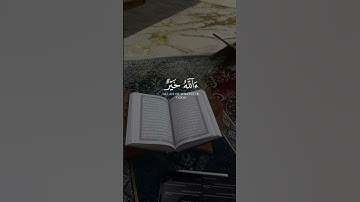 قف✋🏻 أسمع # القرآن الكريم #15 ثانية فقط🤍