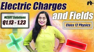 Electric Charges &amp; Fields Class 12 Physics NCERT Solutions Q1.13 - 1.23 | Chapter 1 Numerical | CBSE