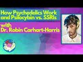 How Psychedelics Work & Psilocybin vs. SSRIs w/ Dr. Robin Carhart-Harris