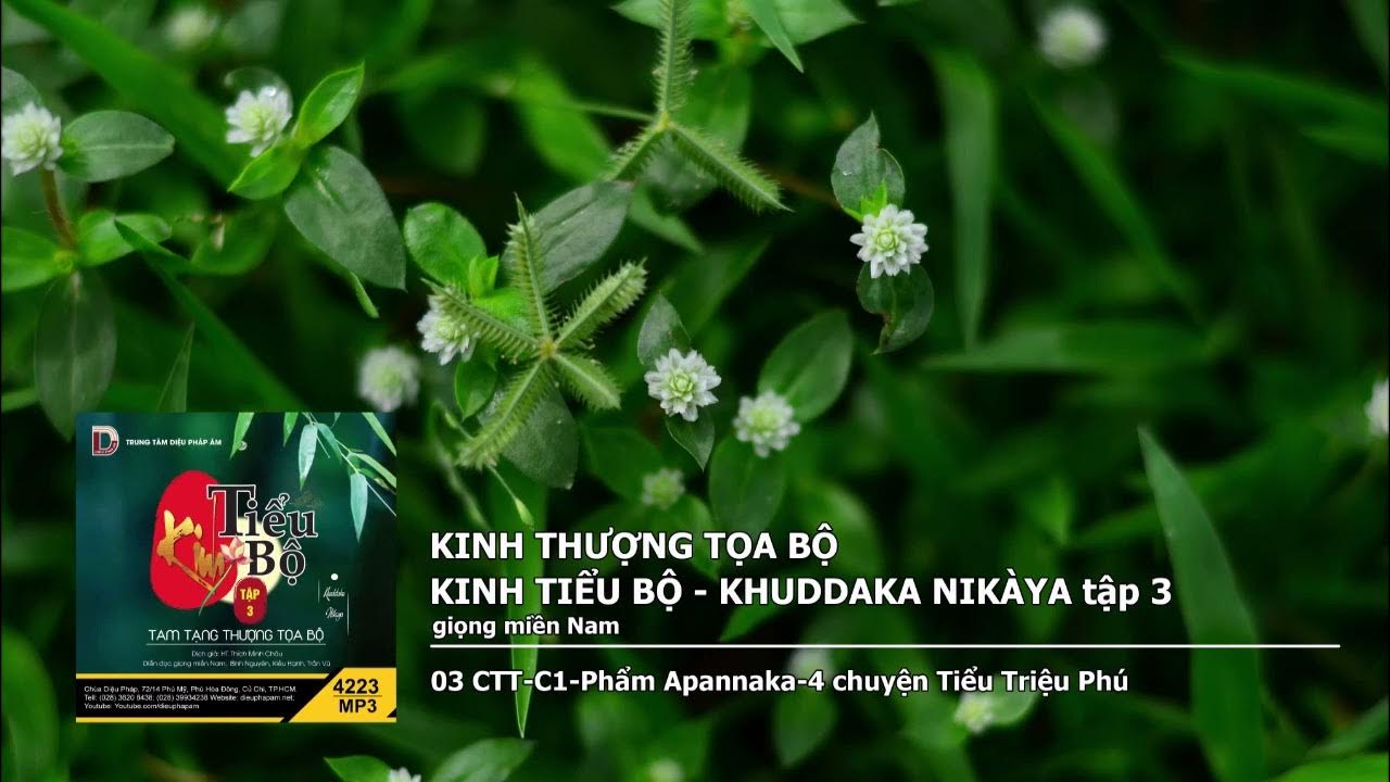 Tập 3 – 03 CTT–C1–Phẩm Apannaka–4 chuyện Tiểu Triệu Phú giọng miền Nam 