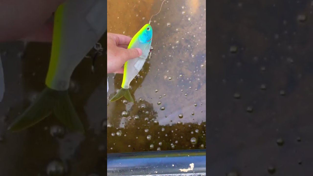 This ELECTRONIC Swimbait Is INSANE