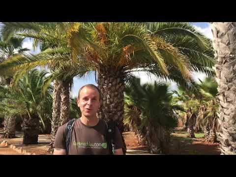 Botanicactus: Pflanzen, Landschaft und mein Eindruck