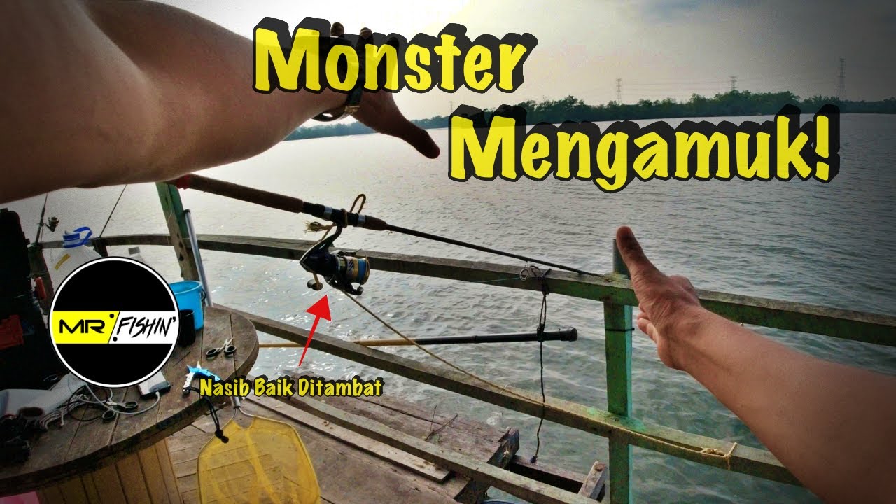 #V57 Mancing Di Kelong Zul Karau⎮Joran Hampir Hilang Disambar Monster #mrfishin #fishing #mancing