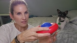 Best Slow Feeder Dog Toy for Small Dogs – KONG Gyro Review!