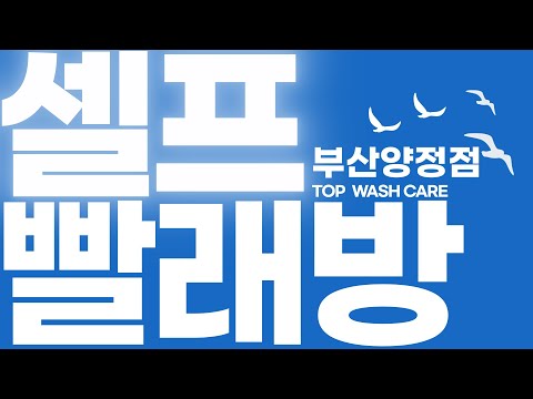 워시케어 남현점