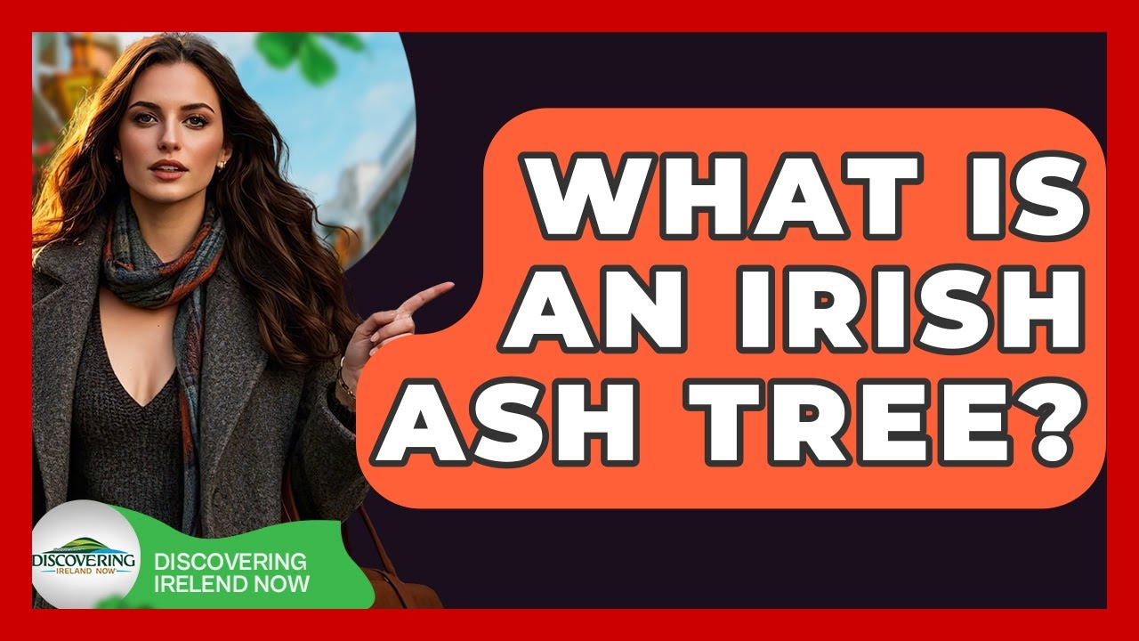 What Is An Irish Ash Tree? - Discovering Ireland Now