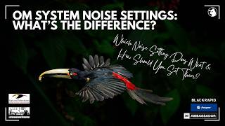 OM System Noise Settings: What's the Difference?