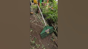 Yard Cleanup ASMR!