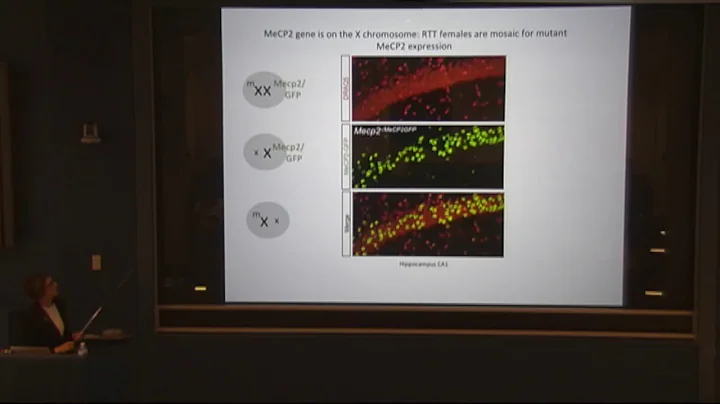 Gail Mandel - New Insights and Approaches for Stud...