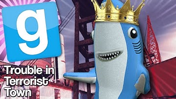 KING OF THE TOWER | Gmod TTT