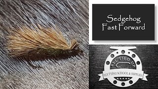 Sedgehog Fast Forward