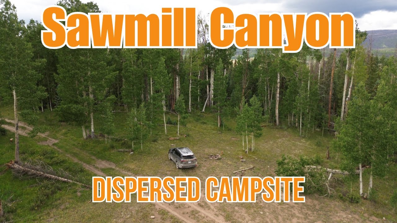 Dispersed Camping along Sawmill Canyon Road - Creede Colorado