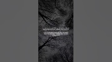 وقال ربكم ادعوني أستجب لكم ياسر الدوسري سورة غافر #quran #اكسبلور #المصحف #راحة_نفسية #القرآن_الكريم
