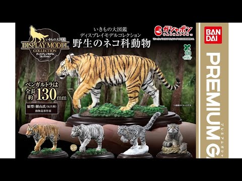 自然動物　フィギュア　狐　猫　犬　1ボックス　202510180134 Living Creatures Encyclopedia Display Collection Wild Cats
