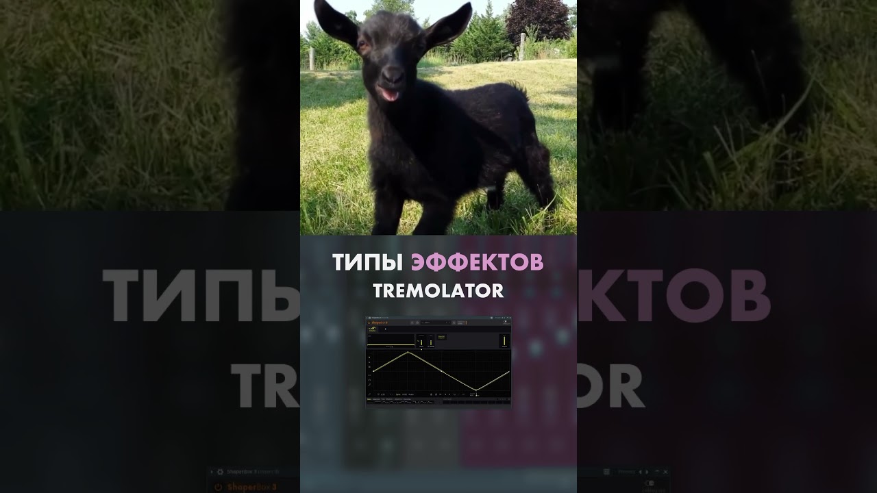 ТИПЫ Эффектов в сведении вокала | Плагины для обработки вокала 