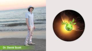 New Evolution Expained [Original Graphics]