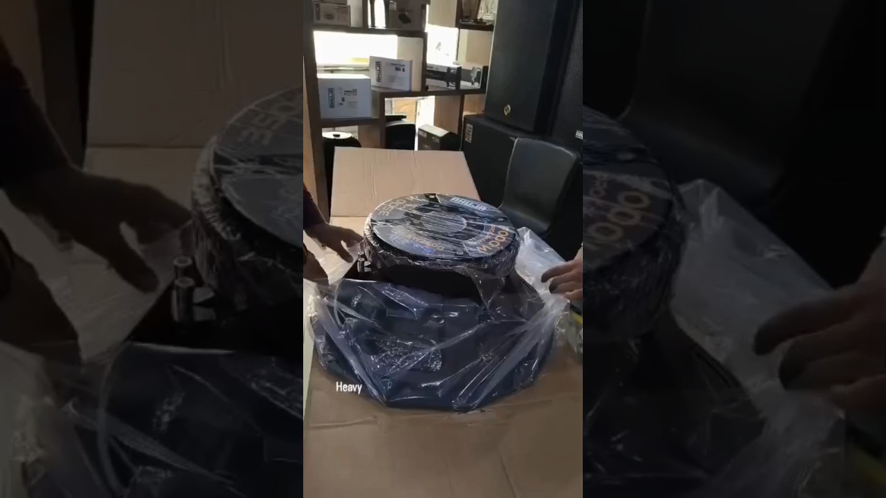 Ahuja L21-SW350021" SUPER POWER Extended Low Frequency Loudspeaker 