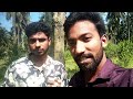 Agathikeerai thedal vlog அகத்திக்கீரை தேடல்