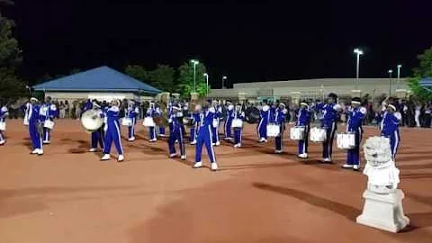 Just watch them