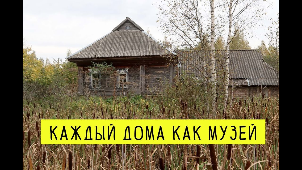 Заброшенная деревня в Ярославской области. Старинные дома и артефакты. Медвежьи следы в лесу