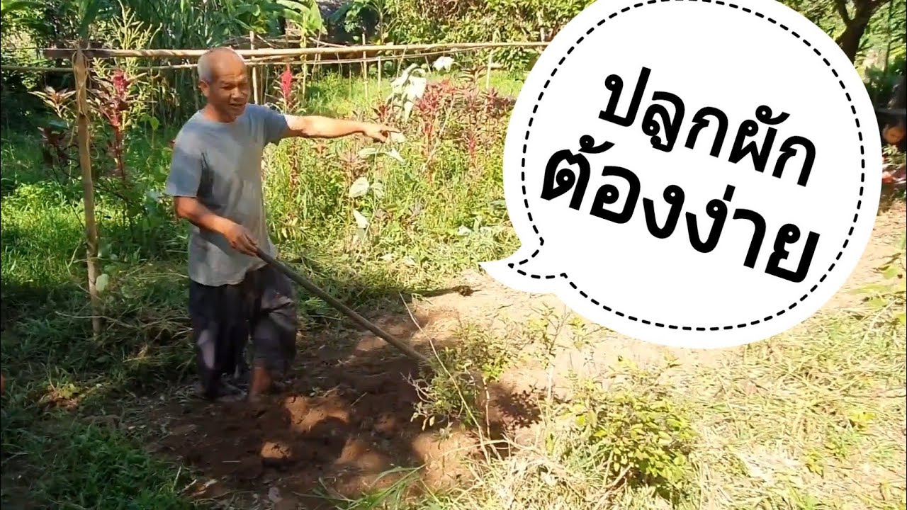 พาทำแปลงผัก สไตล์พันพรรณ กับพี่ โจน จันได